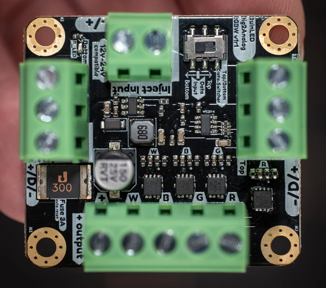 QuinLED dig2analog board held in fingers, straight-on macro showing W/B/G/R outputs, a slide switch, fuse and green terminals